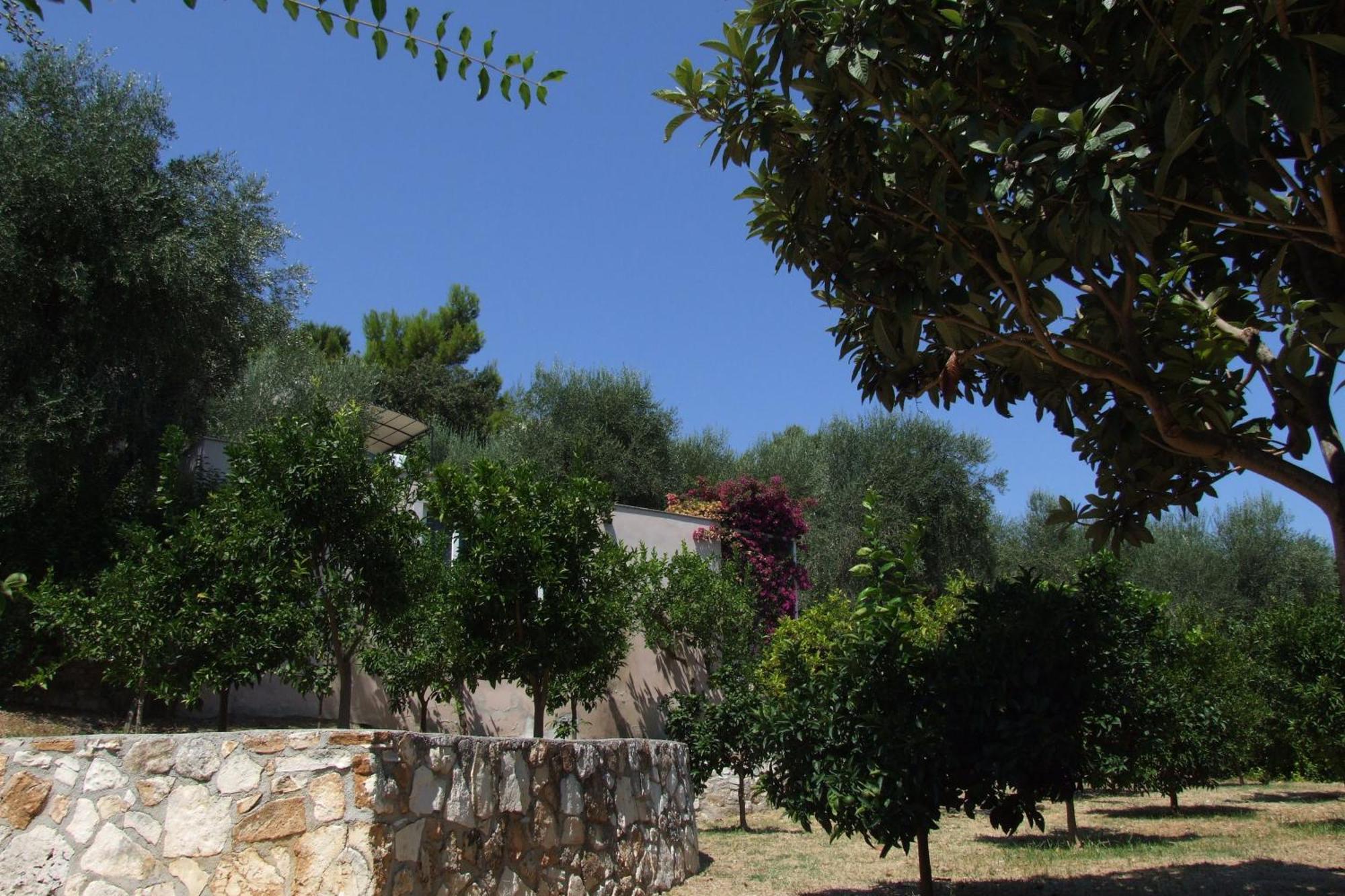 Villaggio Hotel Ripa Rodi Garganico Esterno foto