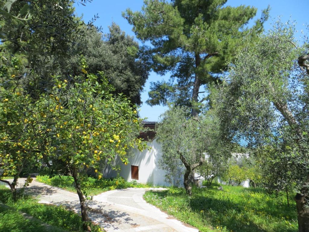 Villaggio Hotel Ripa Rodi Garganico Esterno foto