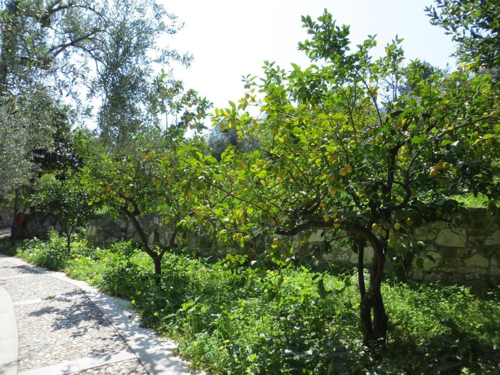Villaggio Hotel Ripa Rodi Garganico Esterno foto